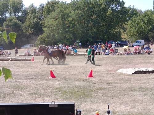 IMG_20260808_131511